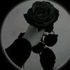ansariiqueen0gmail.com