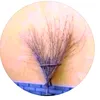 tinny_bunnyantonpetrov