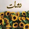 eyad24638