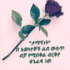 user4029088868595