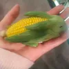 ya_pod_psilo