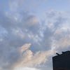 _rawda_0000