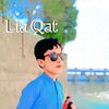 liaqat..ali.brohi