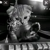 ekaterinarrw