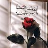 asmaasabry8115