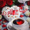 user4981412815816