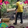 jungleblo
