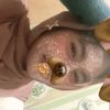 adelia503317