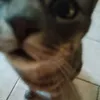 giulya4_