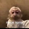 hshshsh1j0