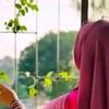 misah088