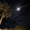 fatm_m10