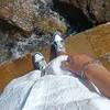 anthony_699.3
