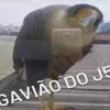 elcladeivisu