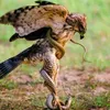 whyt_eagle