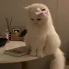bye_l44