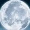 moonlight.com.tiktok