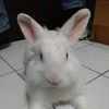 yoottana.poomicha