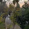 elk_d8
