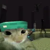 zoizin5