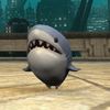 sharkfood