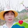 nguyntam178