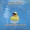 crushkosi8774inletters