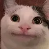 kenhmemehehe