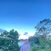 wikalupi
