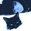 asskk_ly