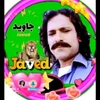 muhammadjaved3340786