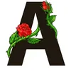 9n__2