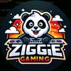 zigge_gaming