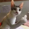 .pht.ti.m.xe.in