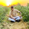omaratef9715