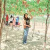 inhthho23