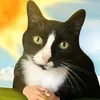 zoey_od