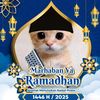 .pahmi0703