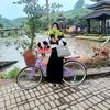 cahyapurwanto19