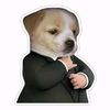 marlon.alarcon1