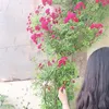 myada.mushtaq