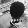 junior_1535