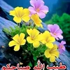 user1045485476132