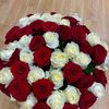 user8198033880820