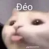 thanhnhi_207