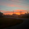 bri_rbl1