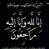 user69637597981594
