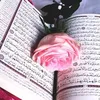 user3097220901302