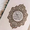 user9575301822225