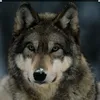 carlosbw29